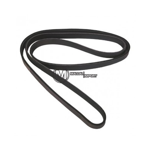Serpentinreim 3,1 TD 99-01 (8PK2490)